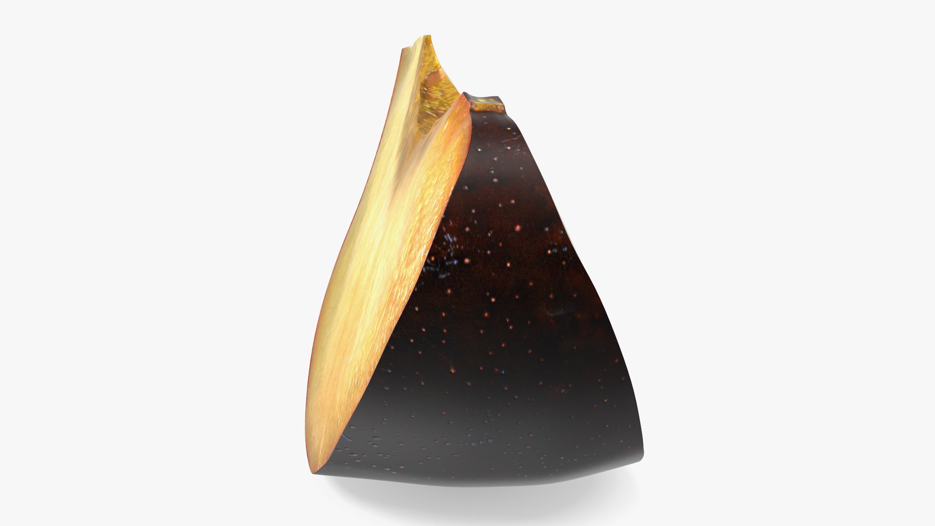 3D model Fresh Red Plum Slice