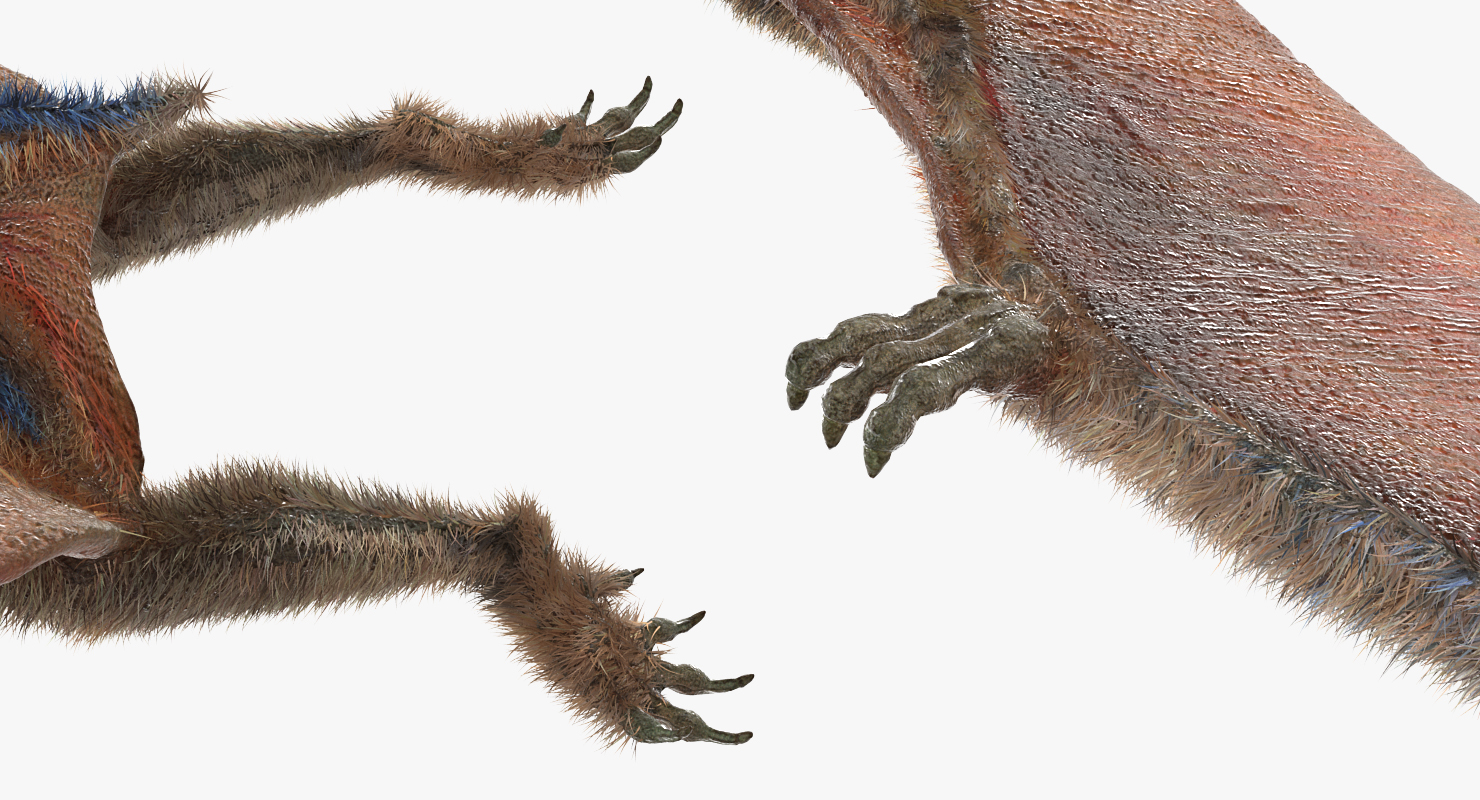 3D Pteranodon Flying Pose with Fur