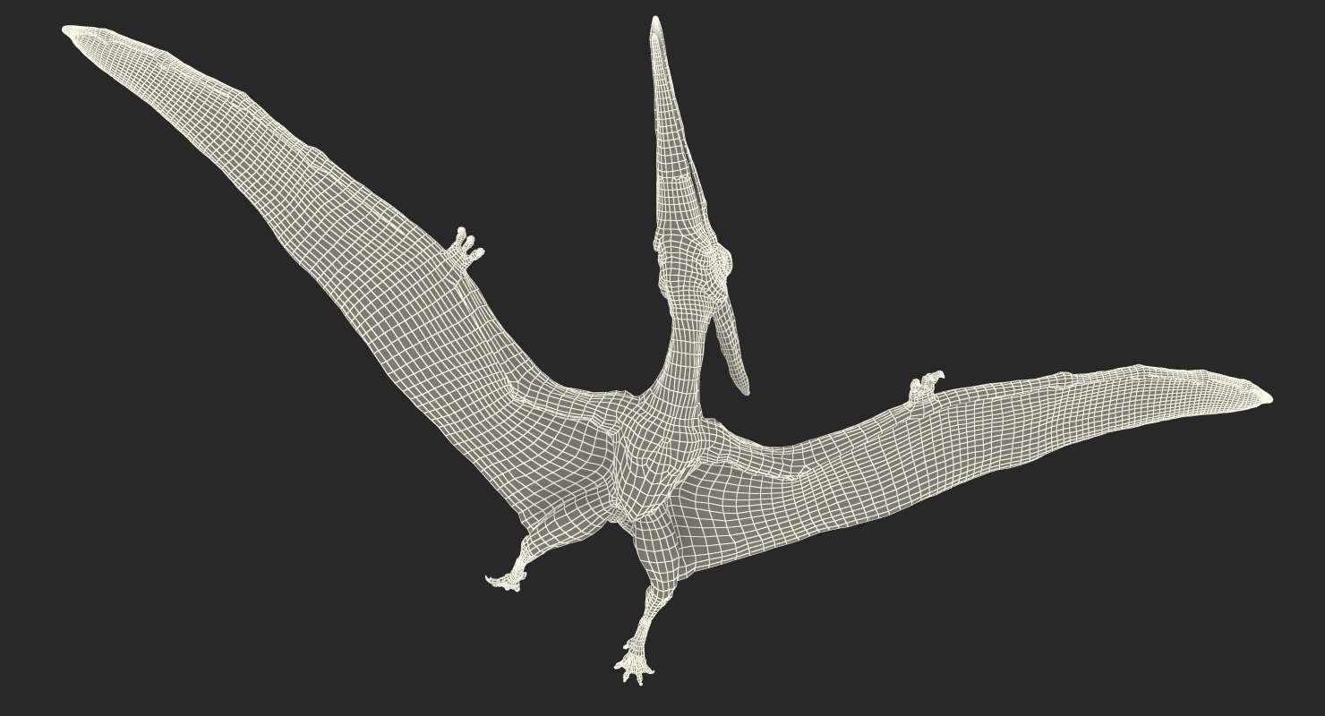 3D Pteranodon Flying Pose with Fur