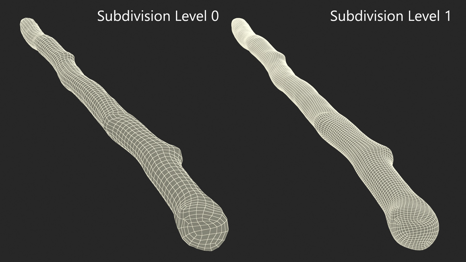 3D Single White Birch Pole model