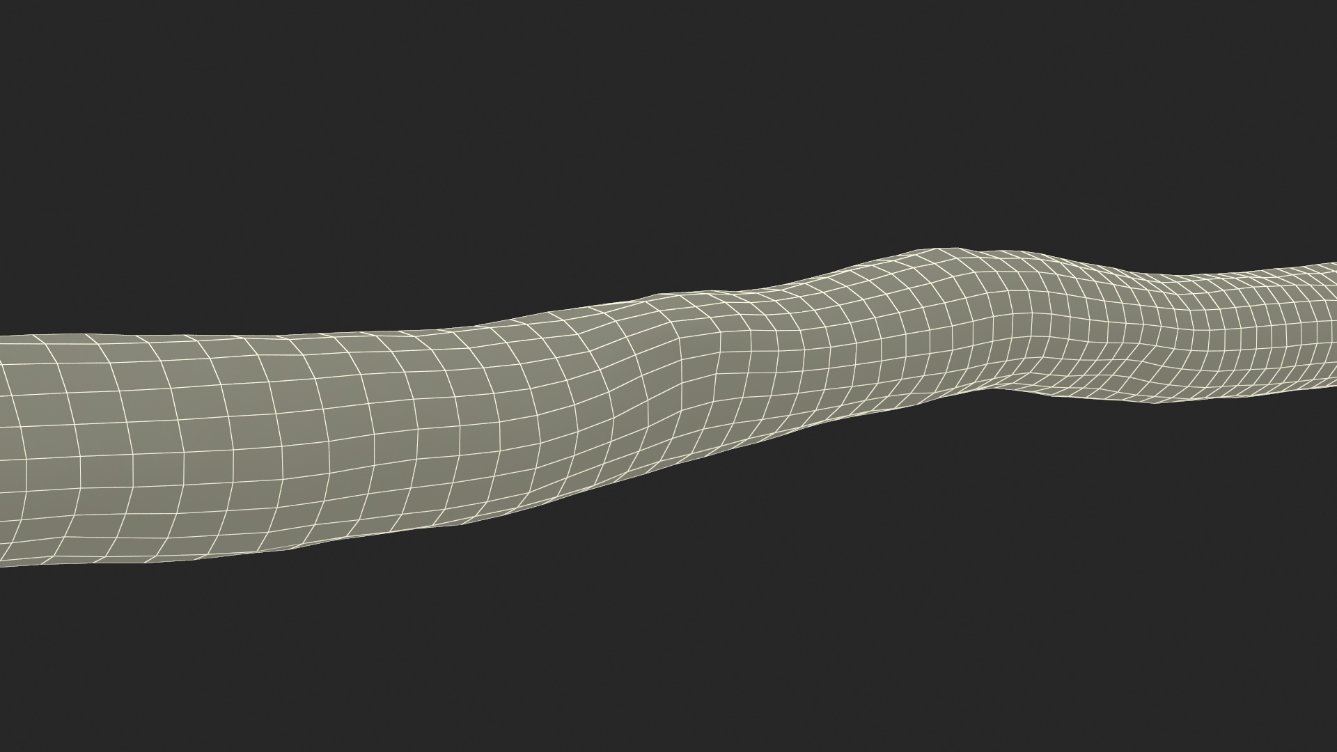 3D Single White Birch Pole model