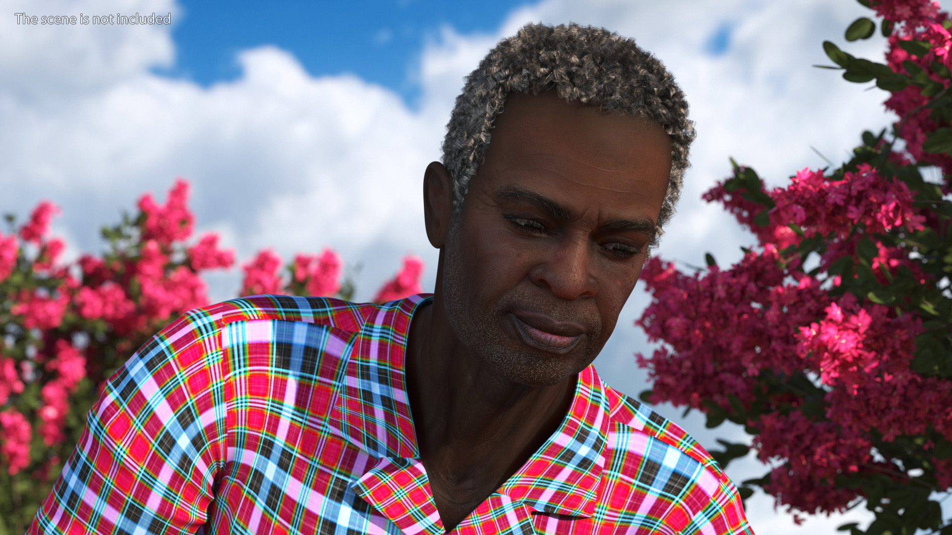 Gardener Afro American Old Gentleman Working 3D model