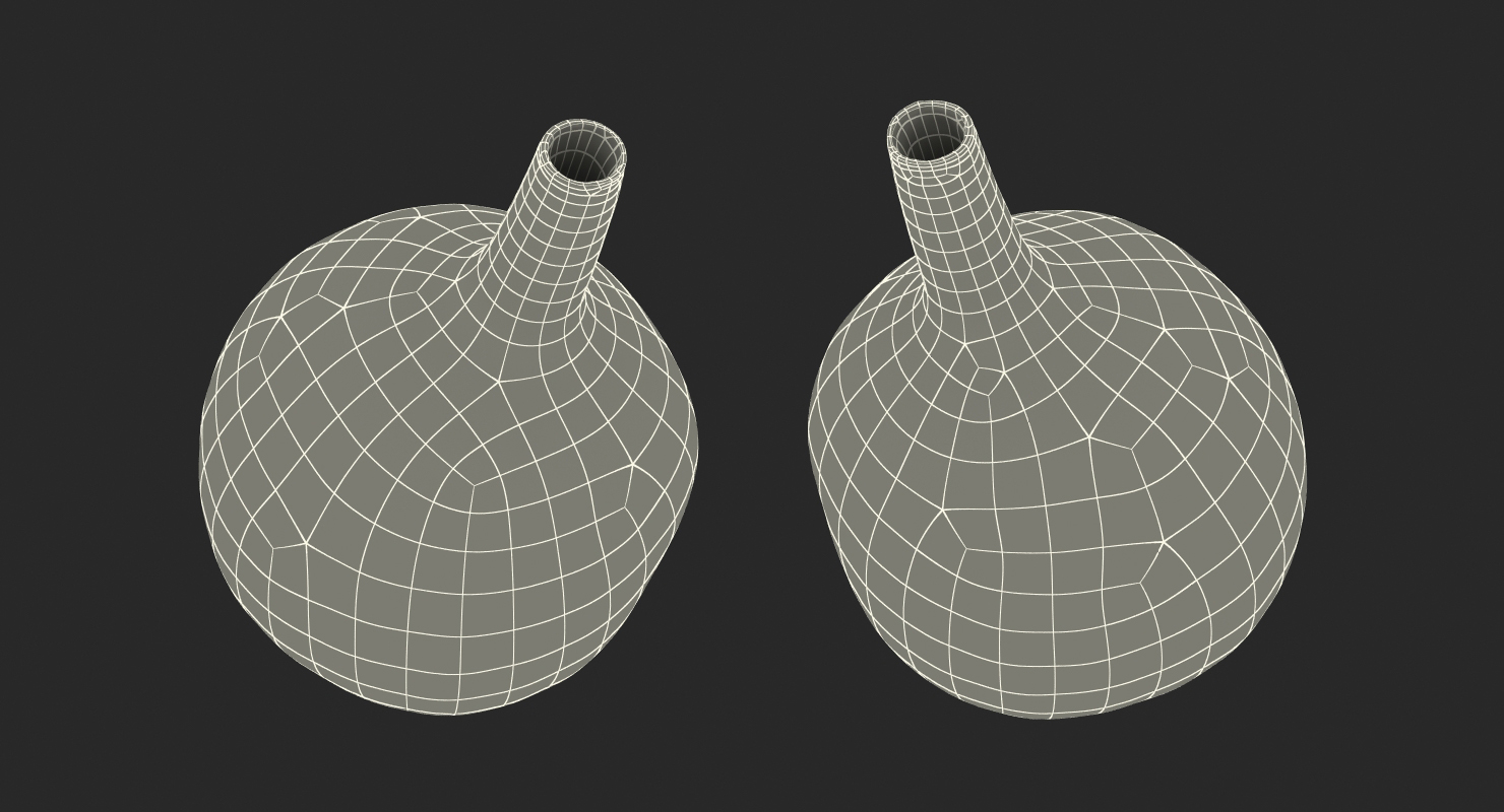 3D Gourd Flask