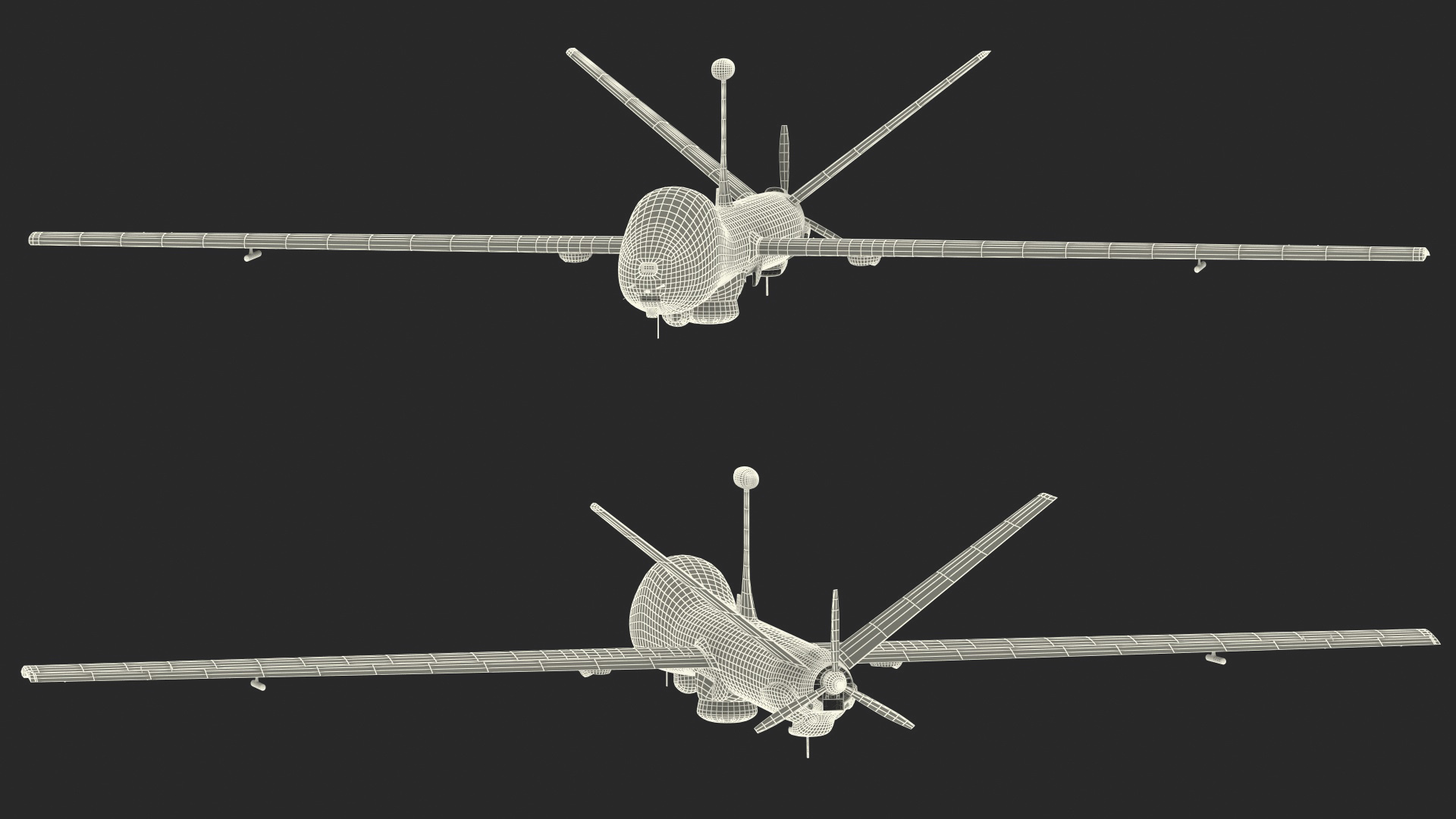 Multi Payload UAV Flight 3D model