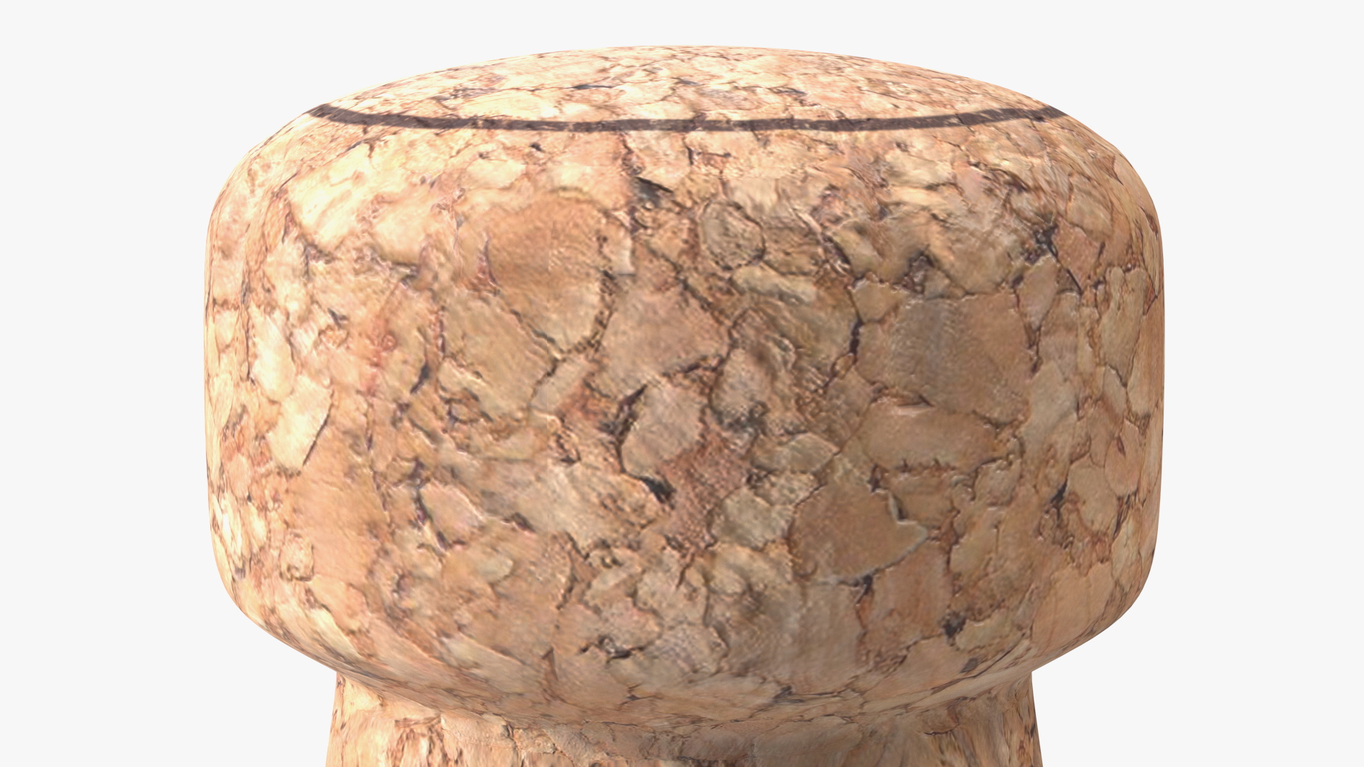 Champagne Cork 3D model