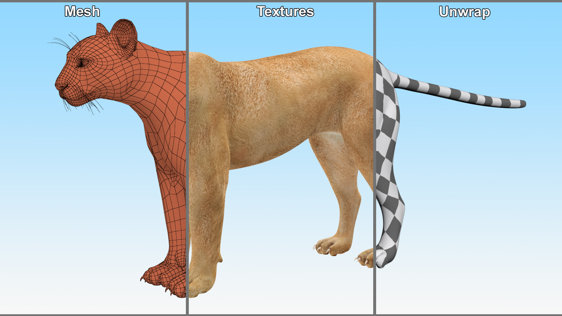 3D model Puma