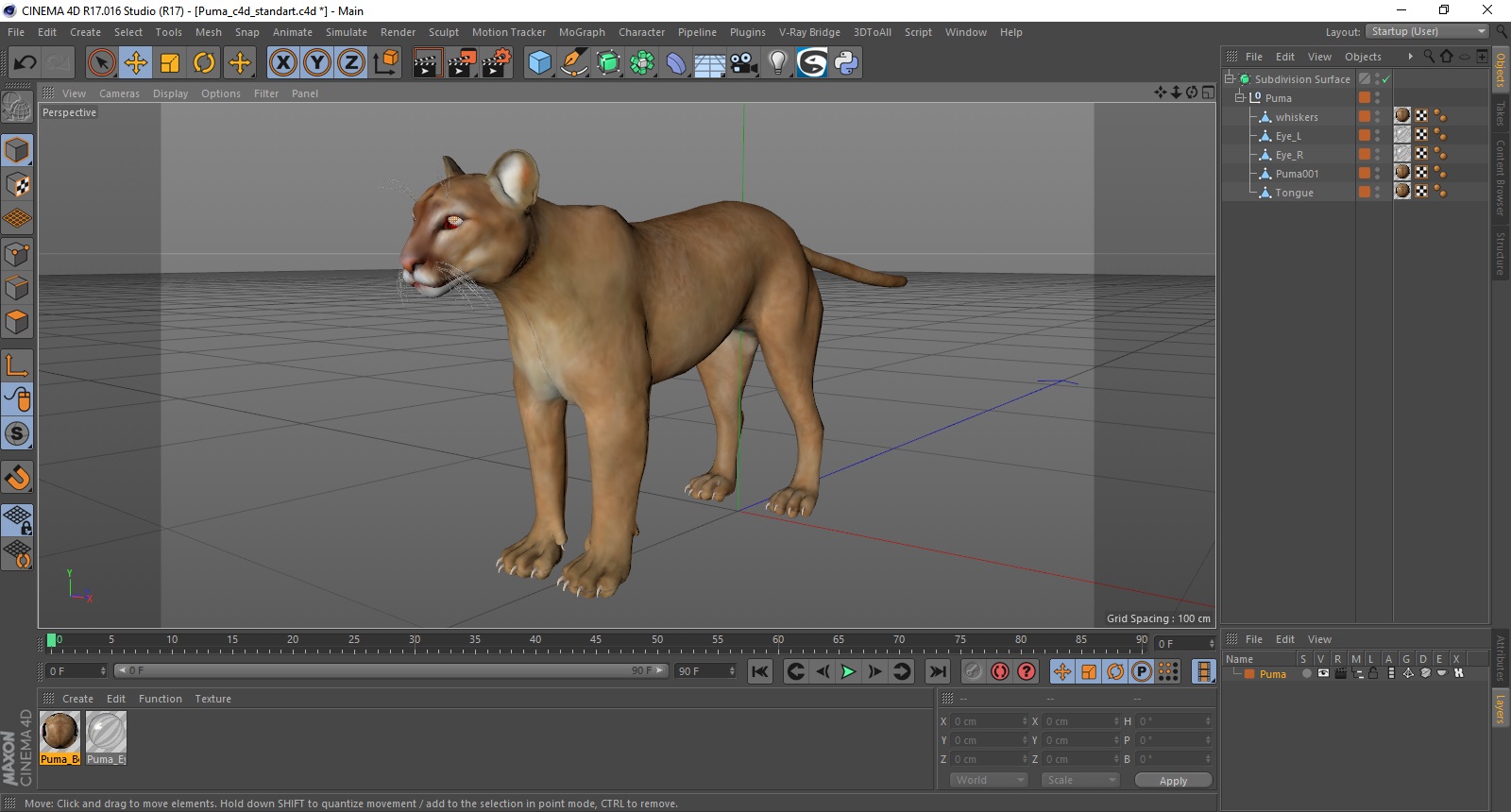 3D model Puma