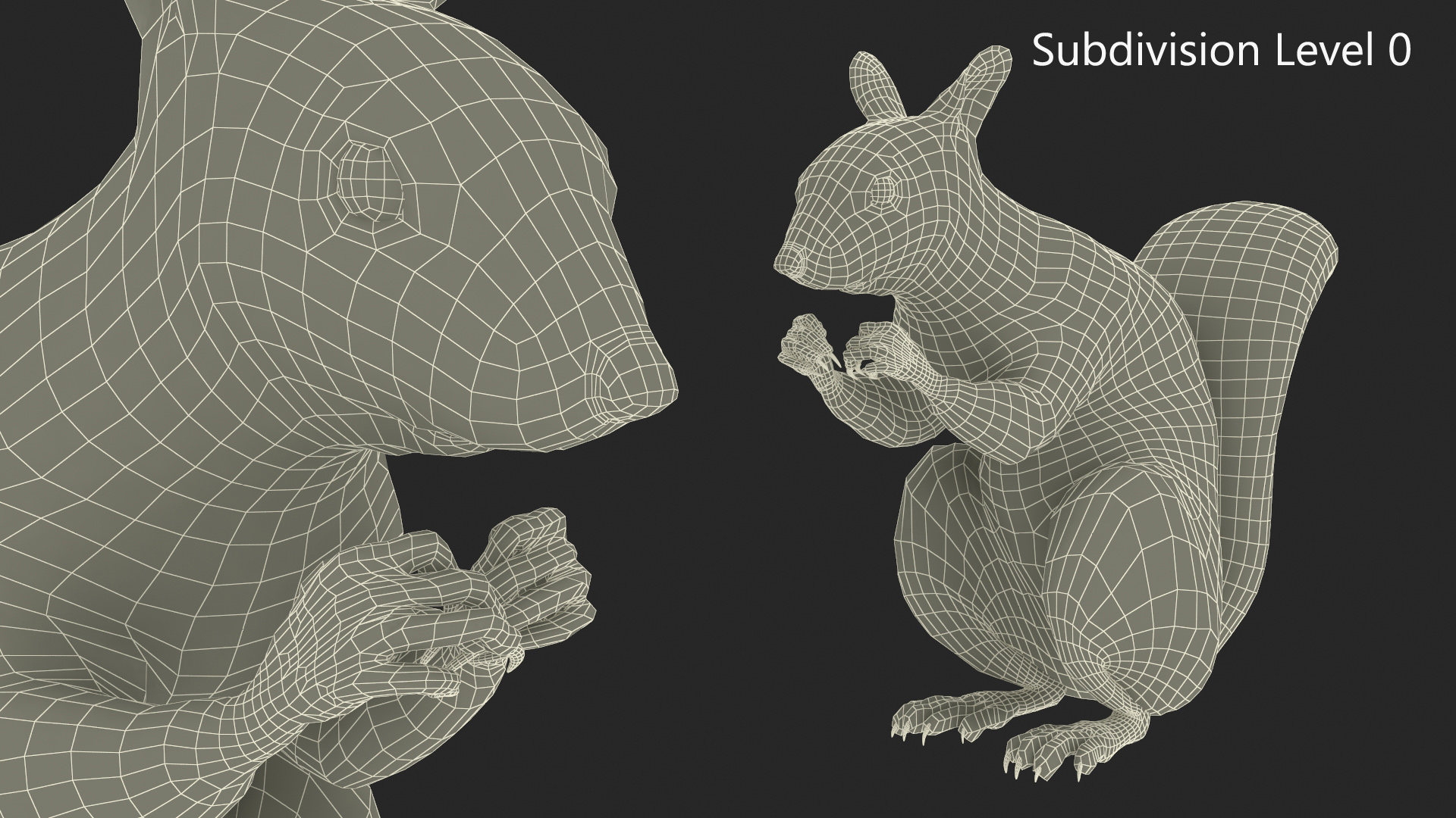 3D Gray Squirrel in a Sitting Pose