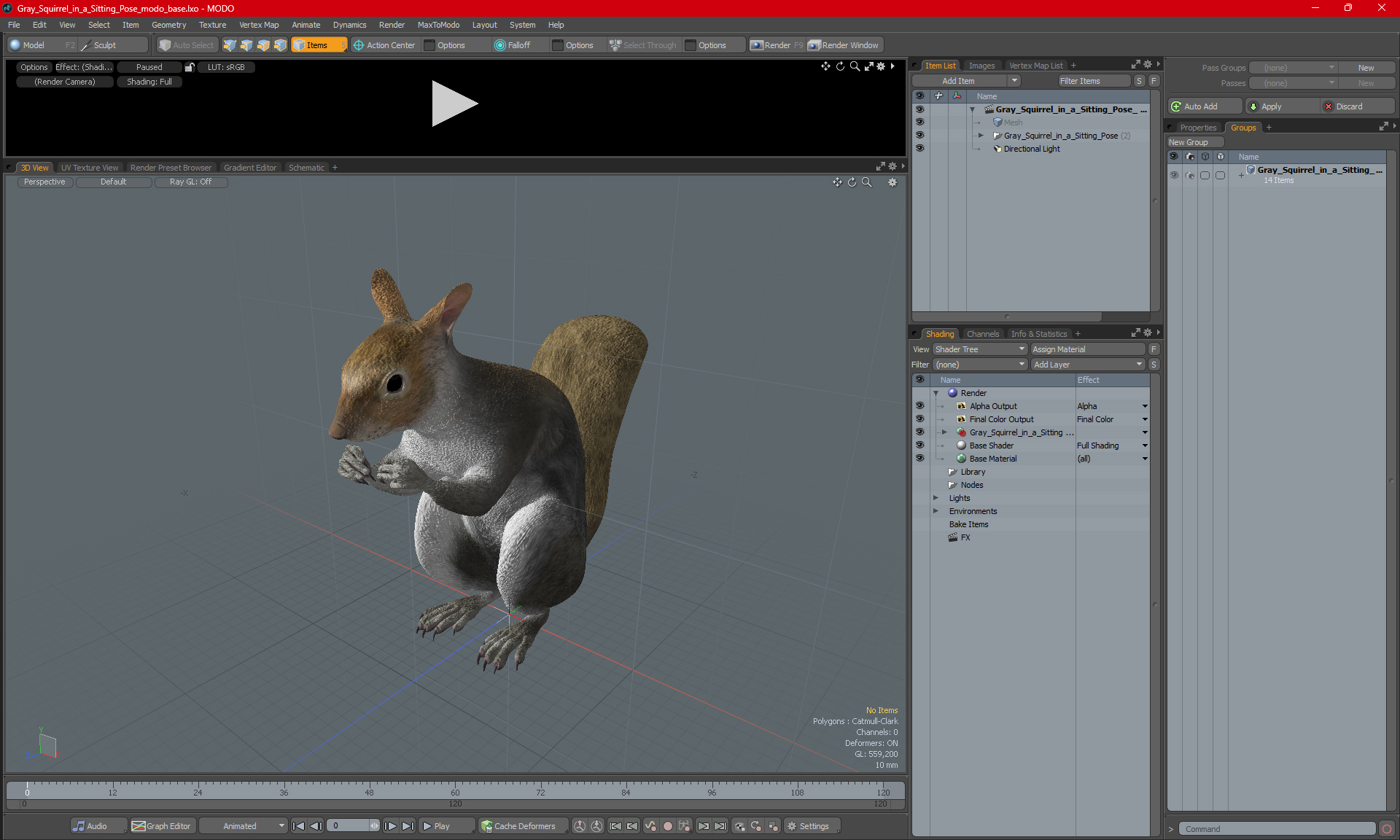 3D Gray Squirrel in a Sitting Pose