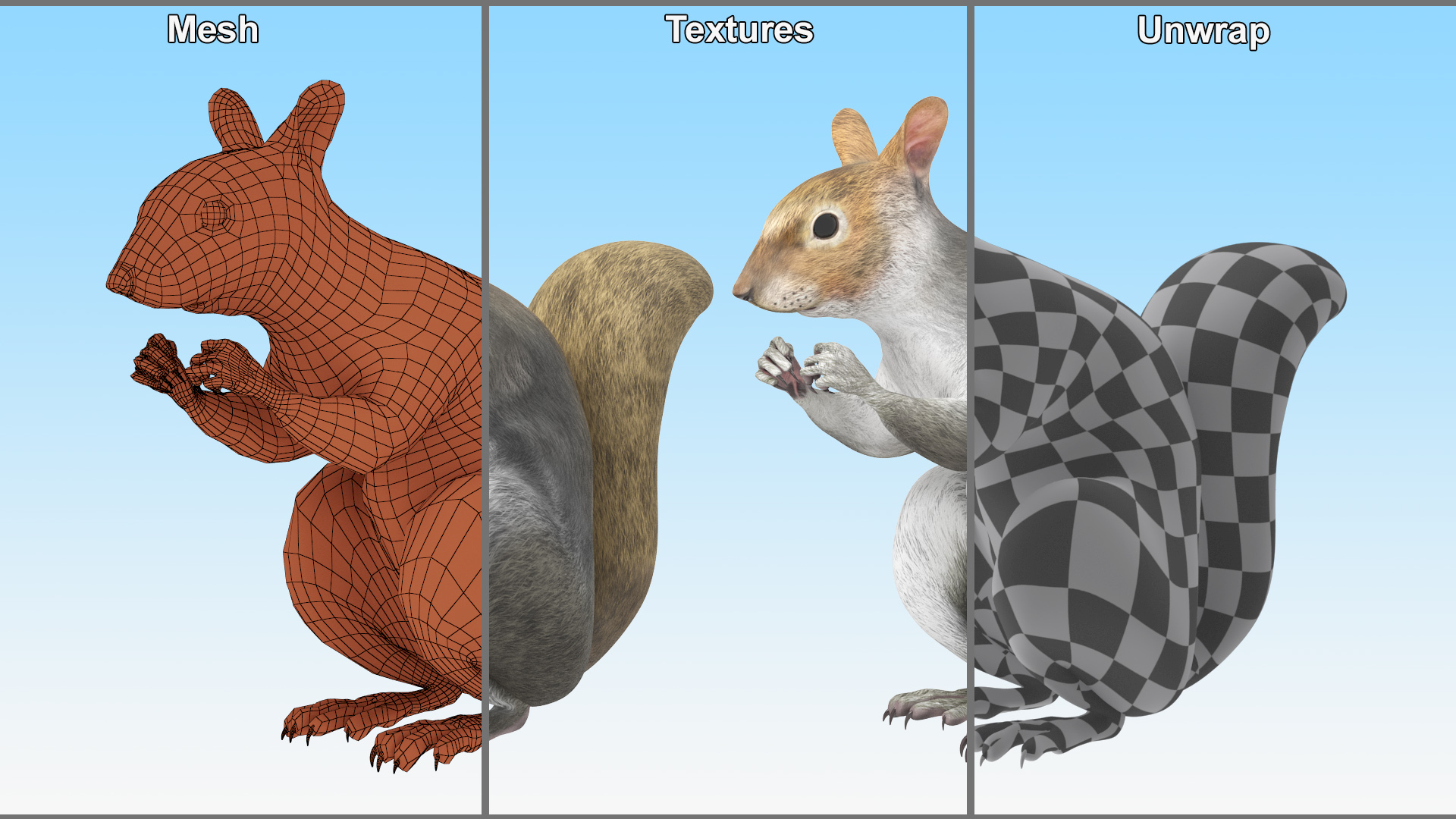 3D Gray Squirrel in a Sitting Pose
