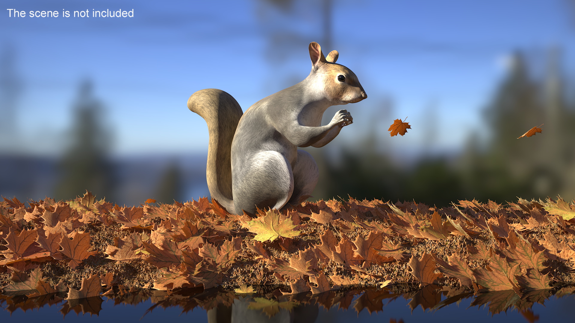 3D Gray Squirrel in a Sitting Pose