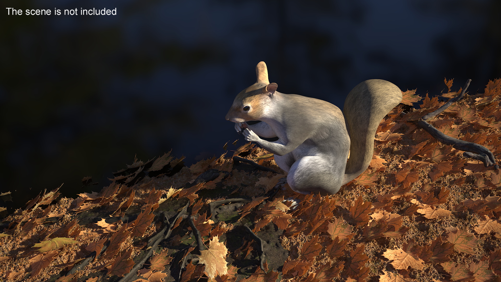 3D Gray Squirrel in a Sitting Pose