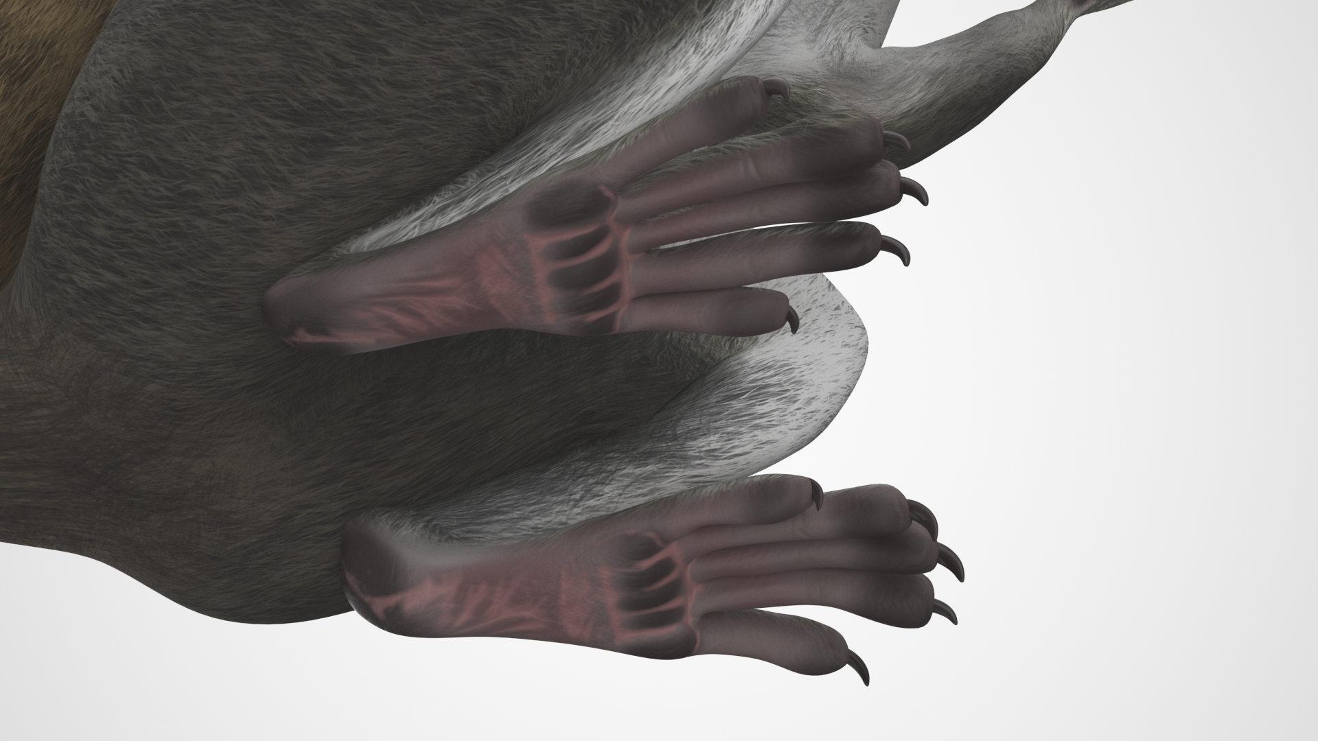 3D Gray Squirrel in a Sitting Pose