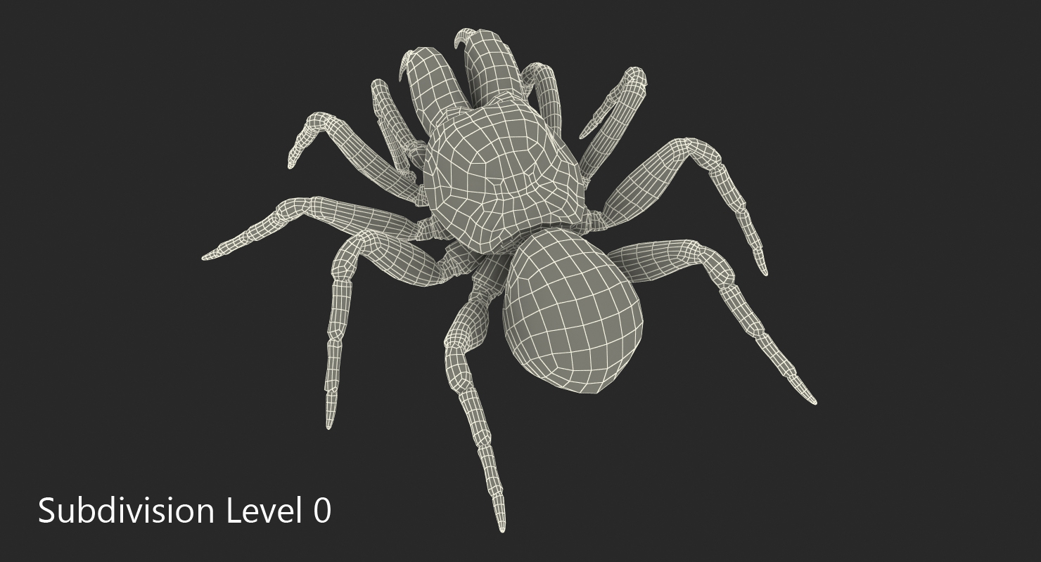3D Mouse Spider Rigged with Fur model