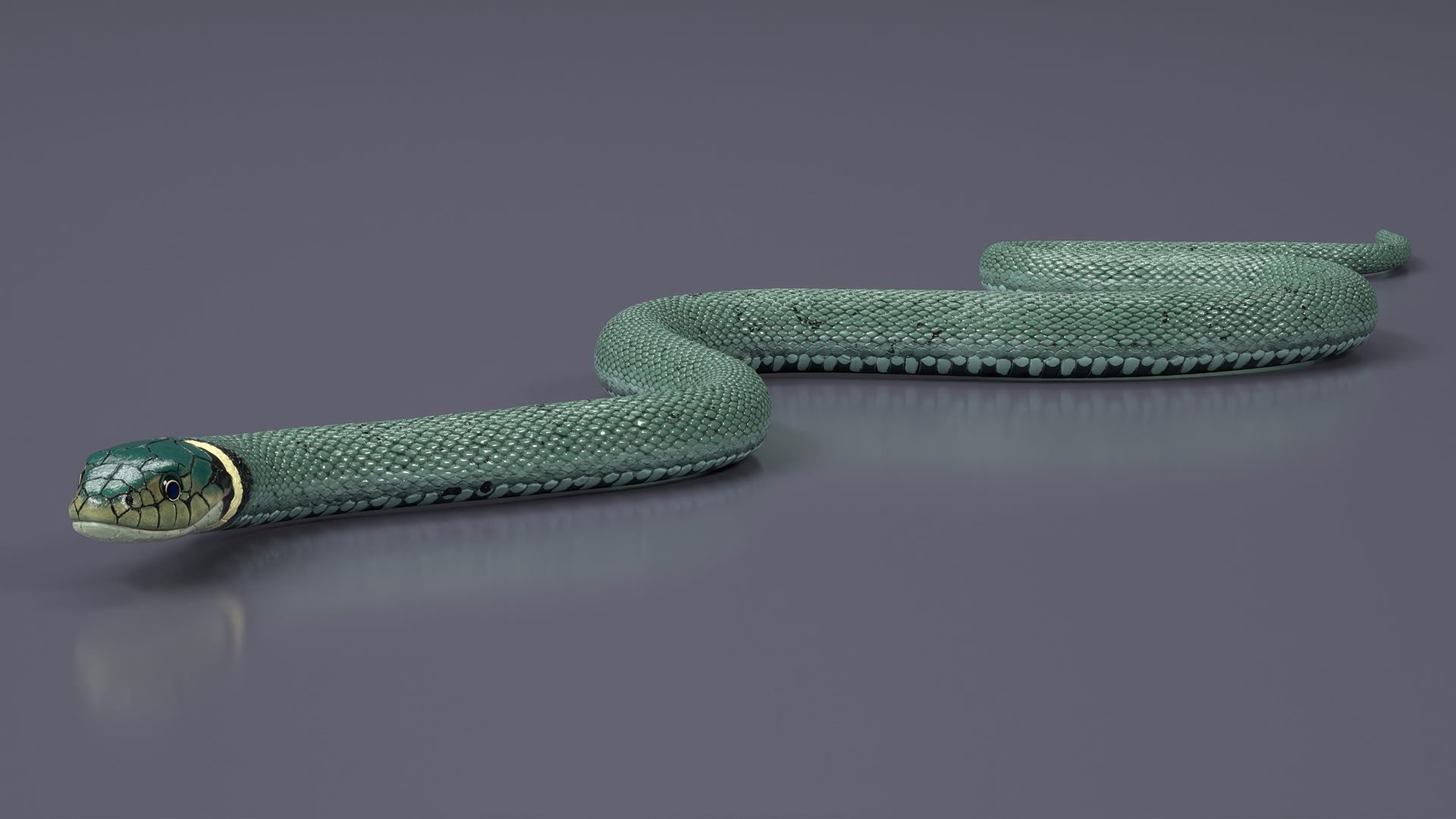 3D Water Snake Green Crawling