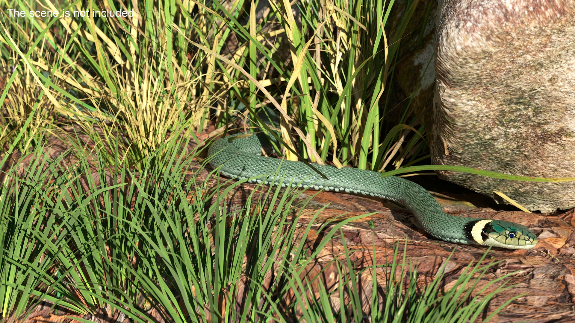 3D Water Snake Green Crawling