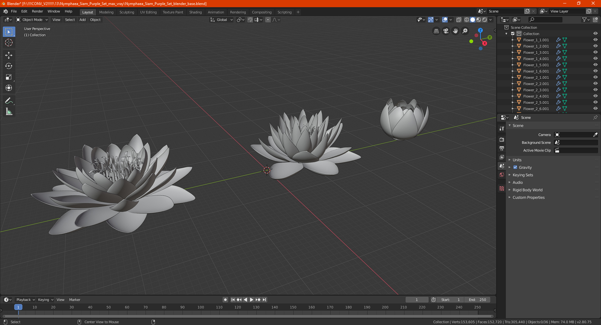 Nymphaea Siam Purple Set 3D model