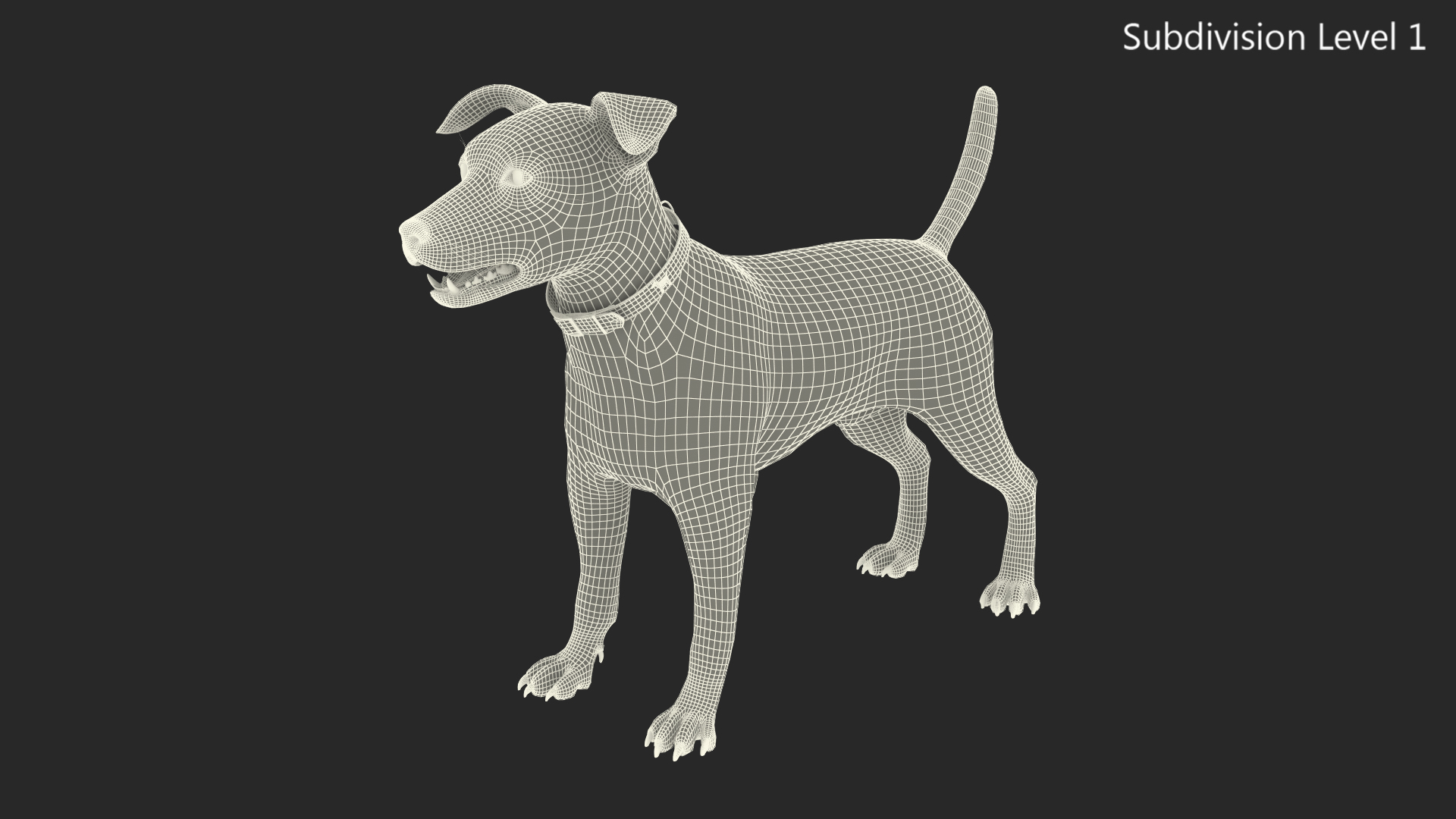3D Jack Russell Terrier White Rigged model