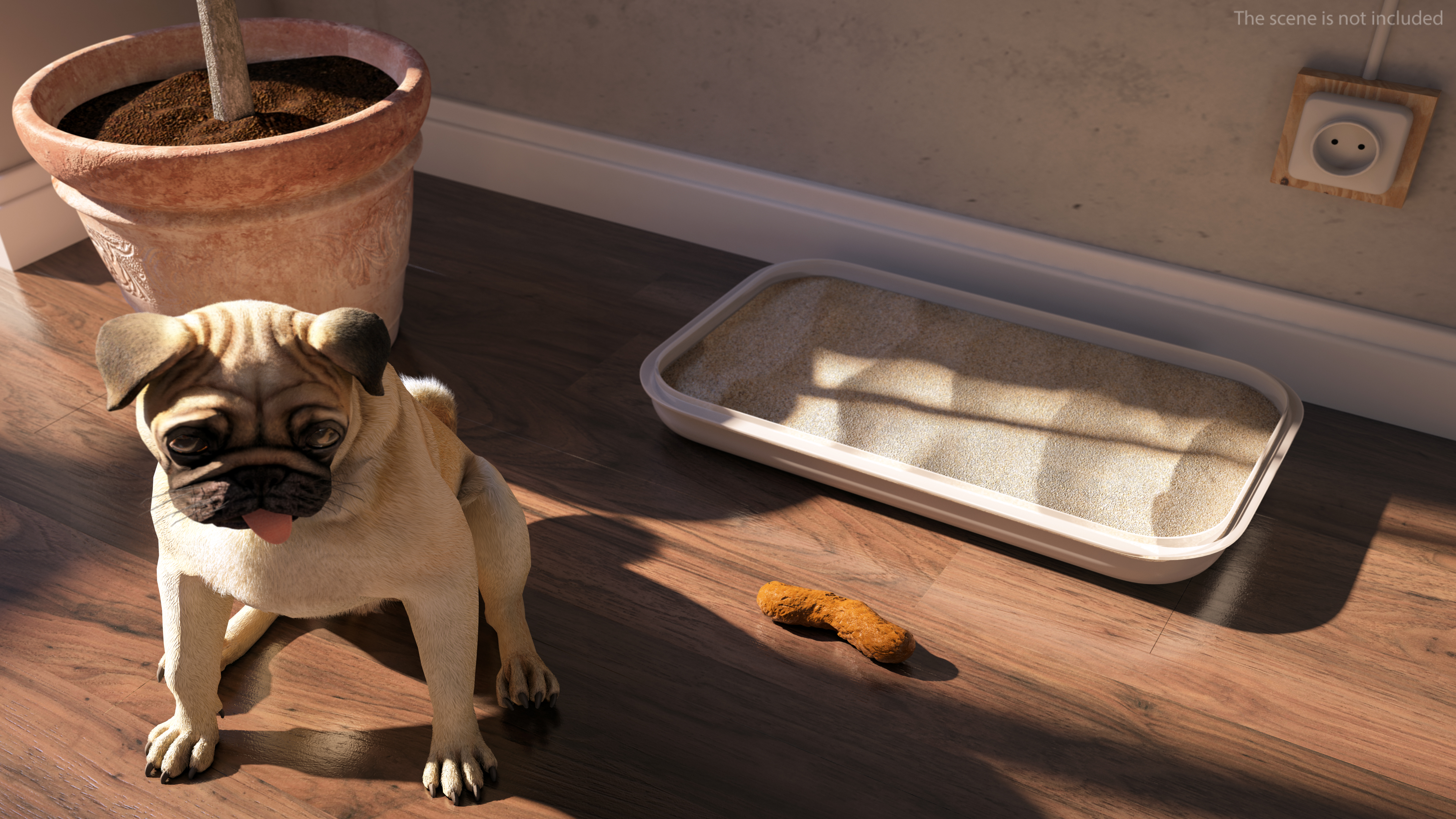 Little Crap Natural 3D model