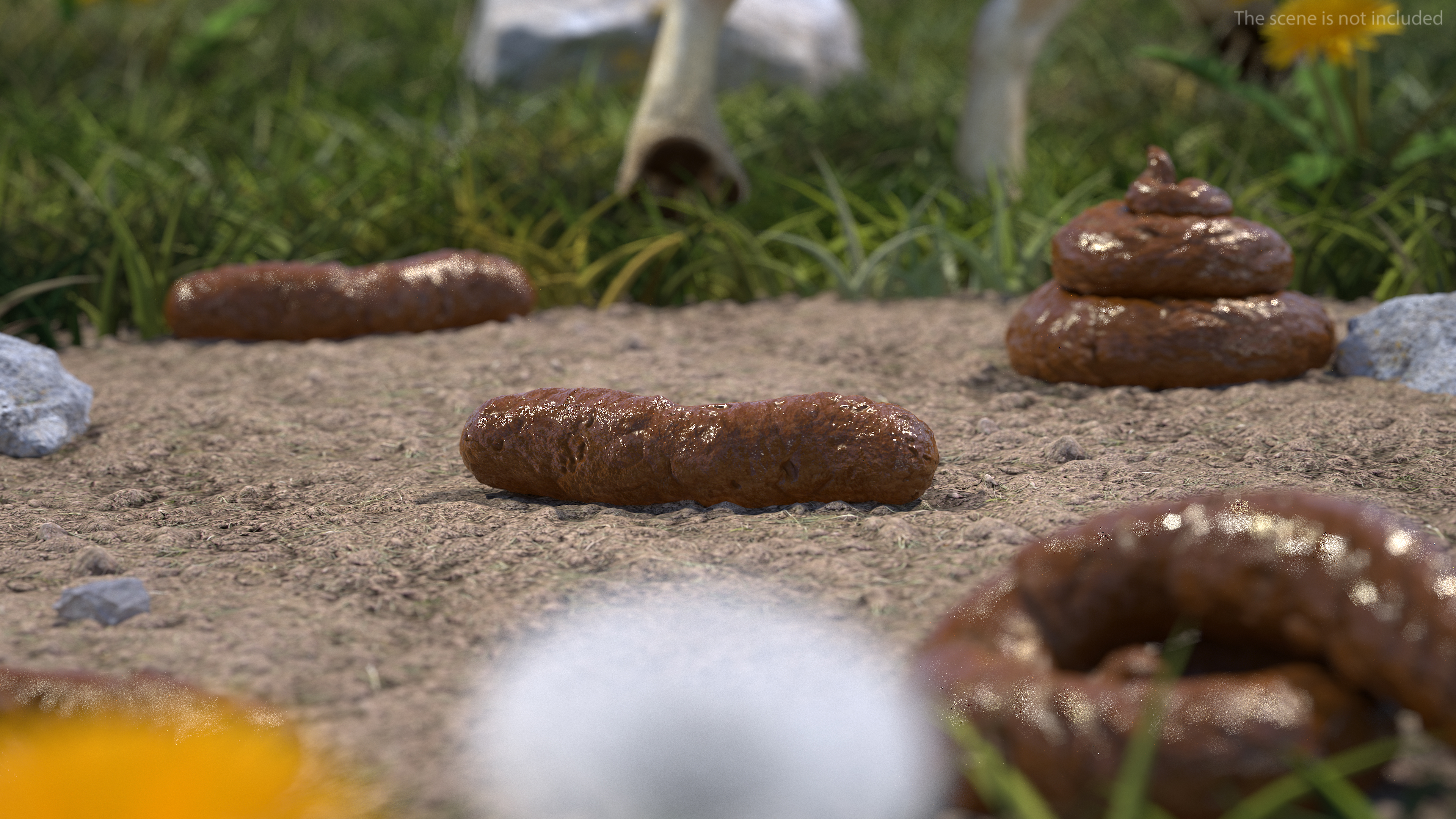 Little Crap Natural 3D model