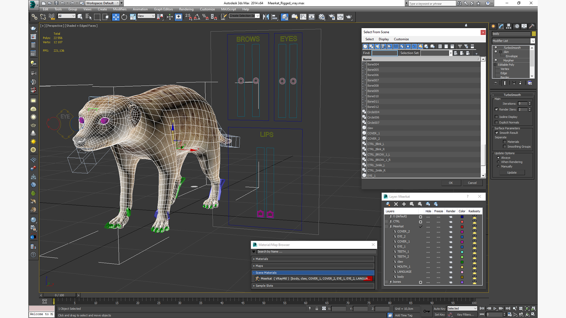 3D Meerkat Rigged for Modo model
