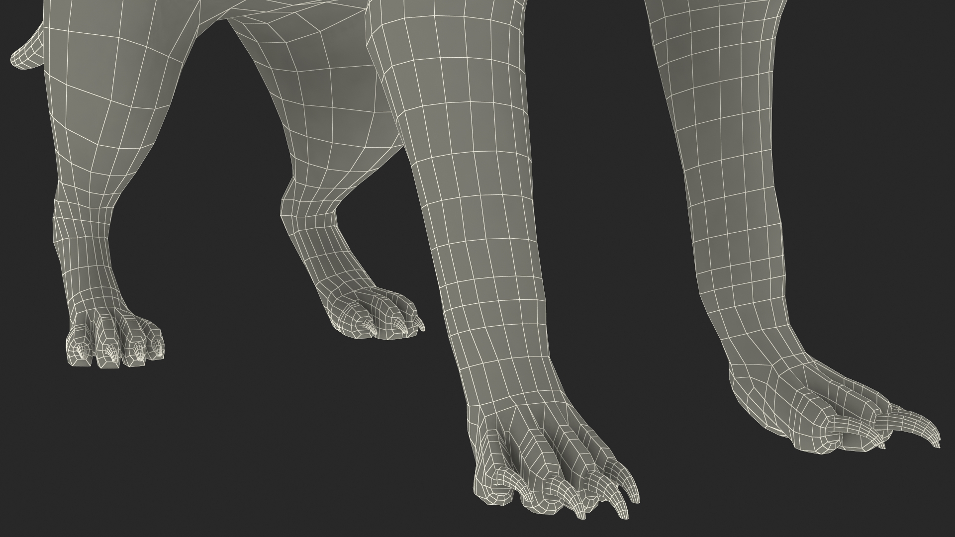 3D Meerkat Rigged for Modo model