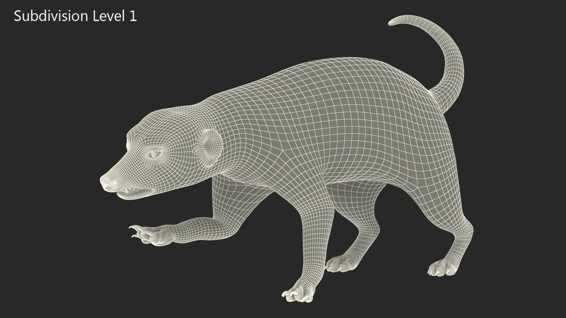 3D Meerkat Rigged for Modo model