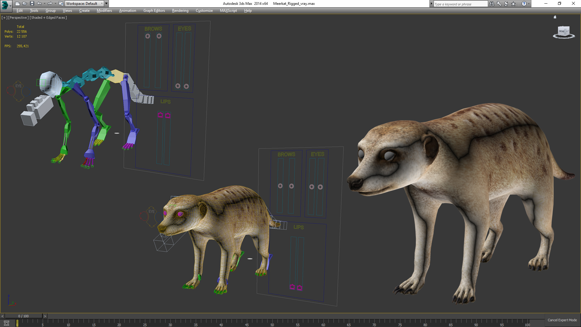 3D Meerkat Rigged for Modo model