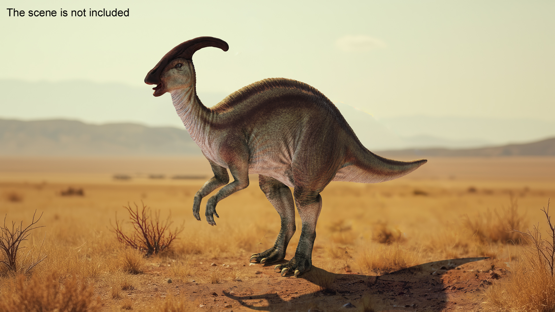 Parasaurolophus Dinosaur 3D model