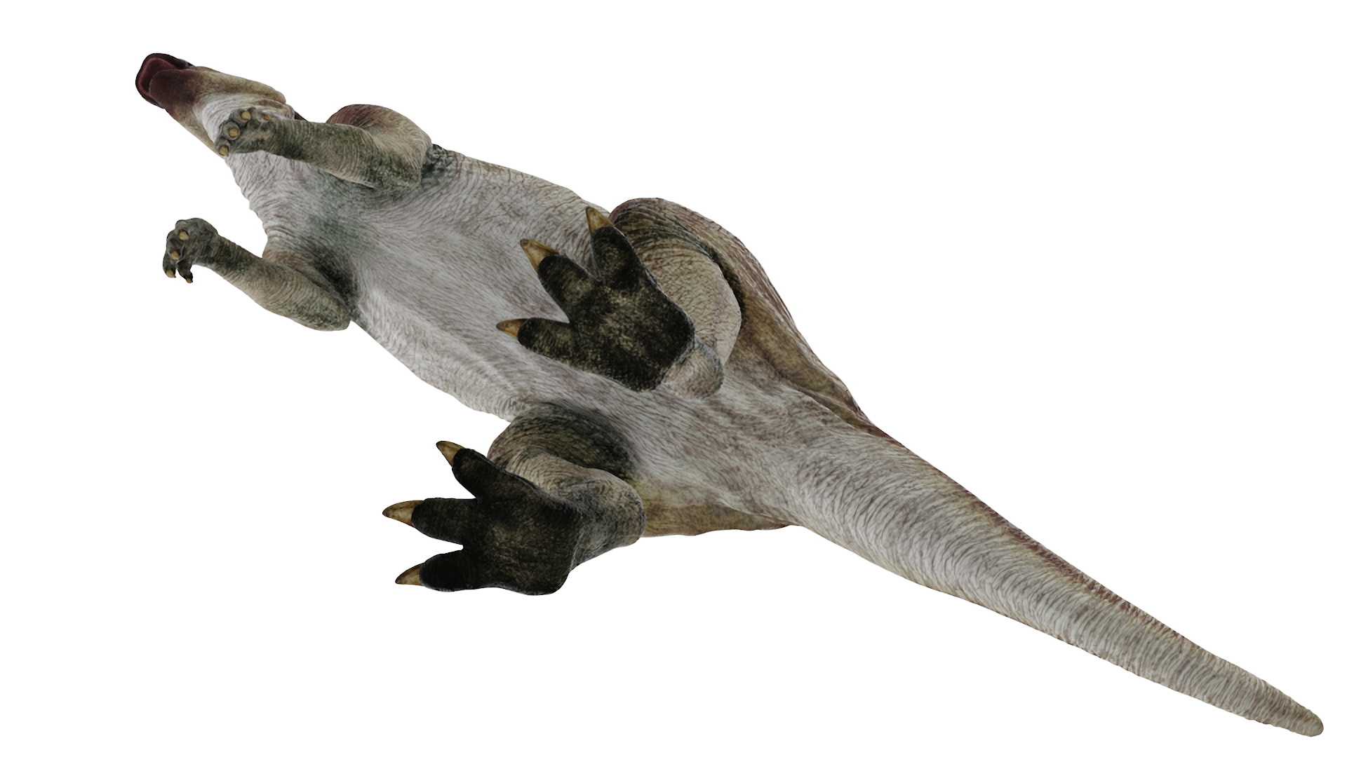 Parasaurolophus Dinosaur 3D model