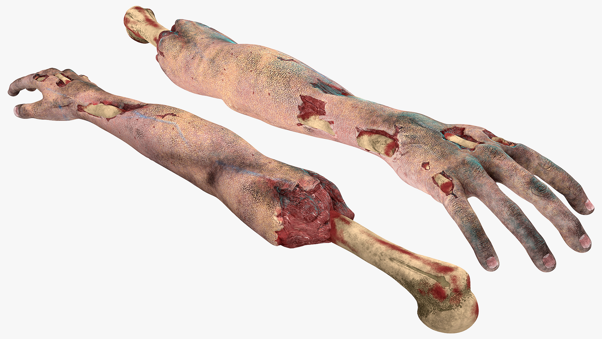 Single Zombie Arm 3D