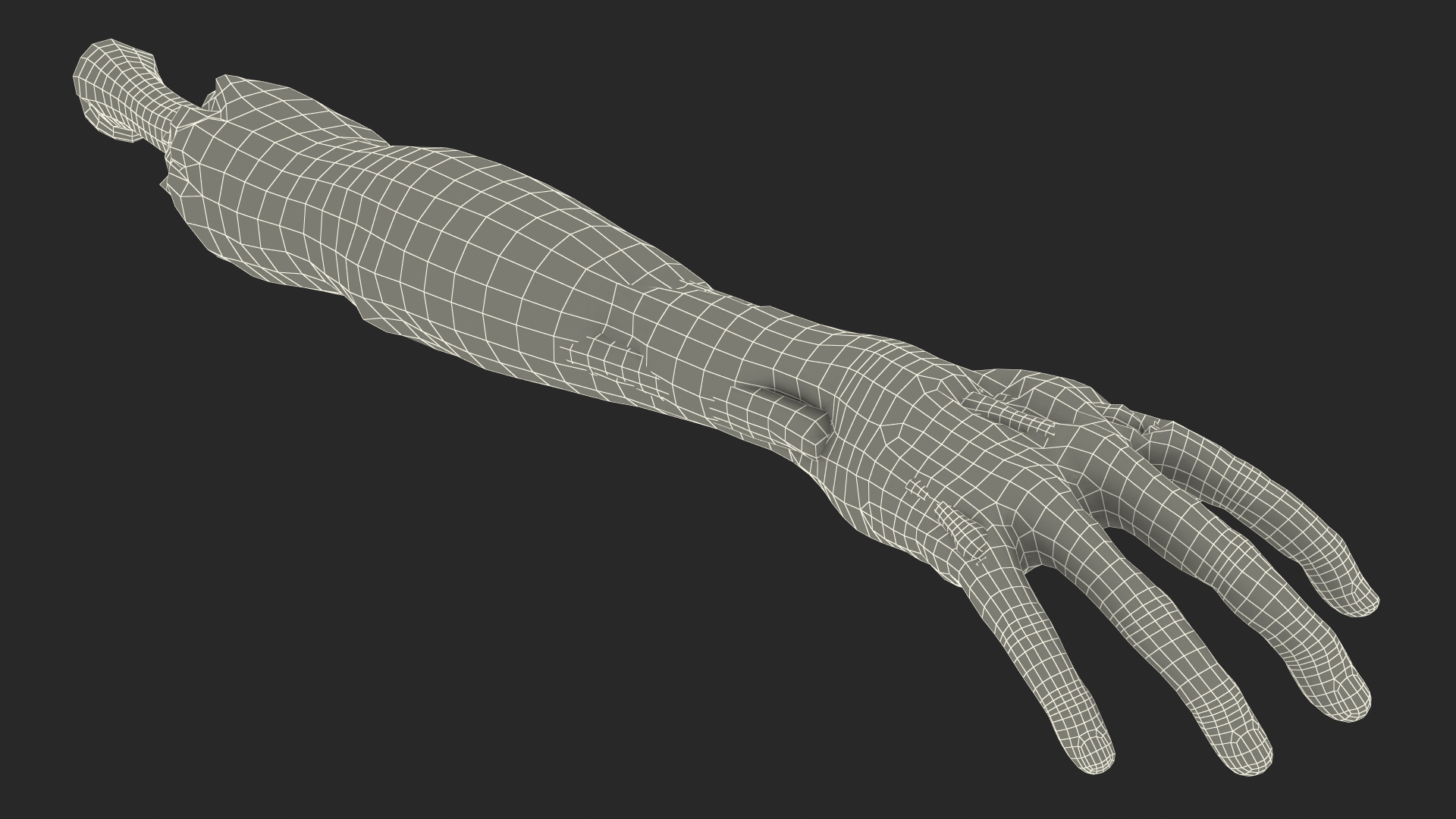 Single Zombie Arm 3D