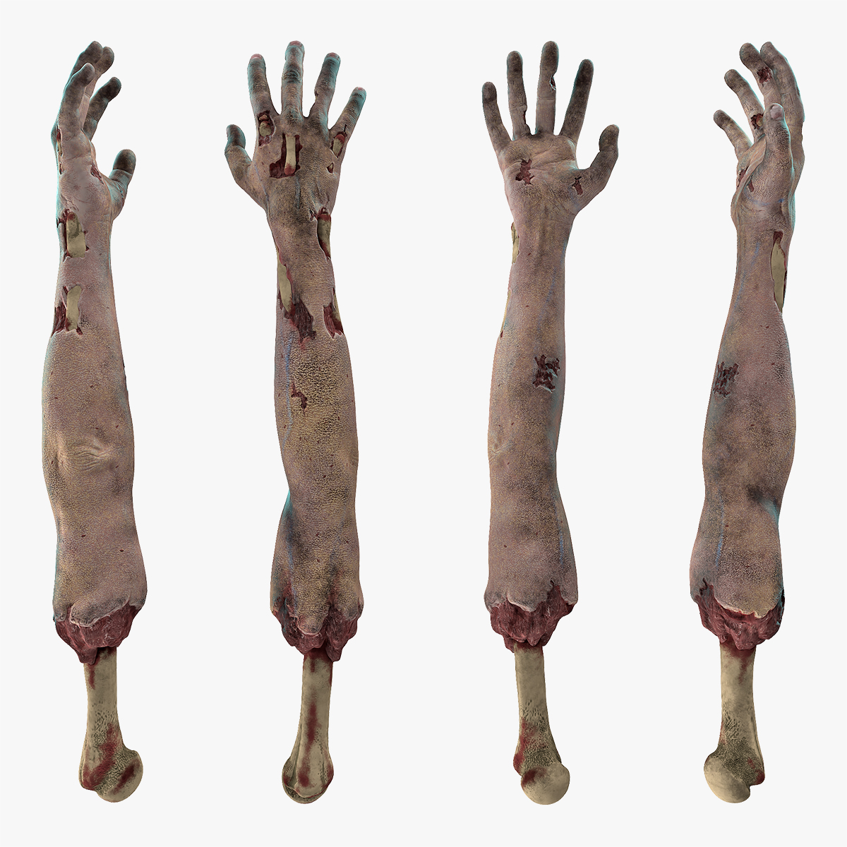 Single Zombie Arm