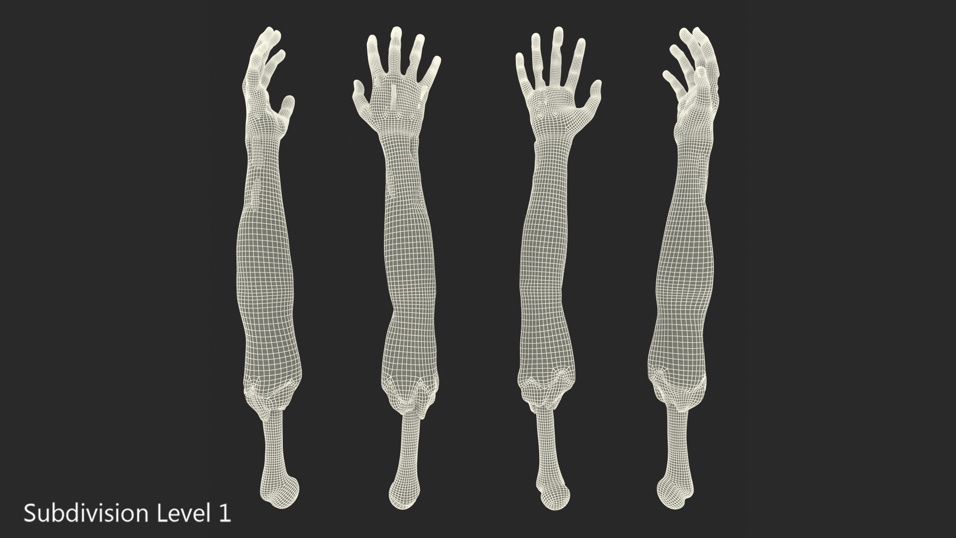 Single Zombie Arm 3D