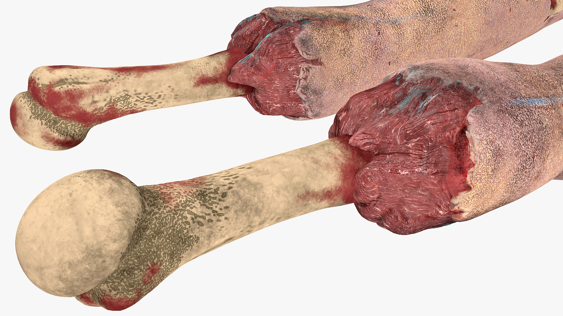 Single Zombie Arm 3D