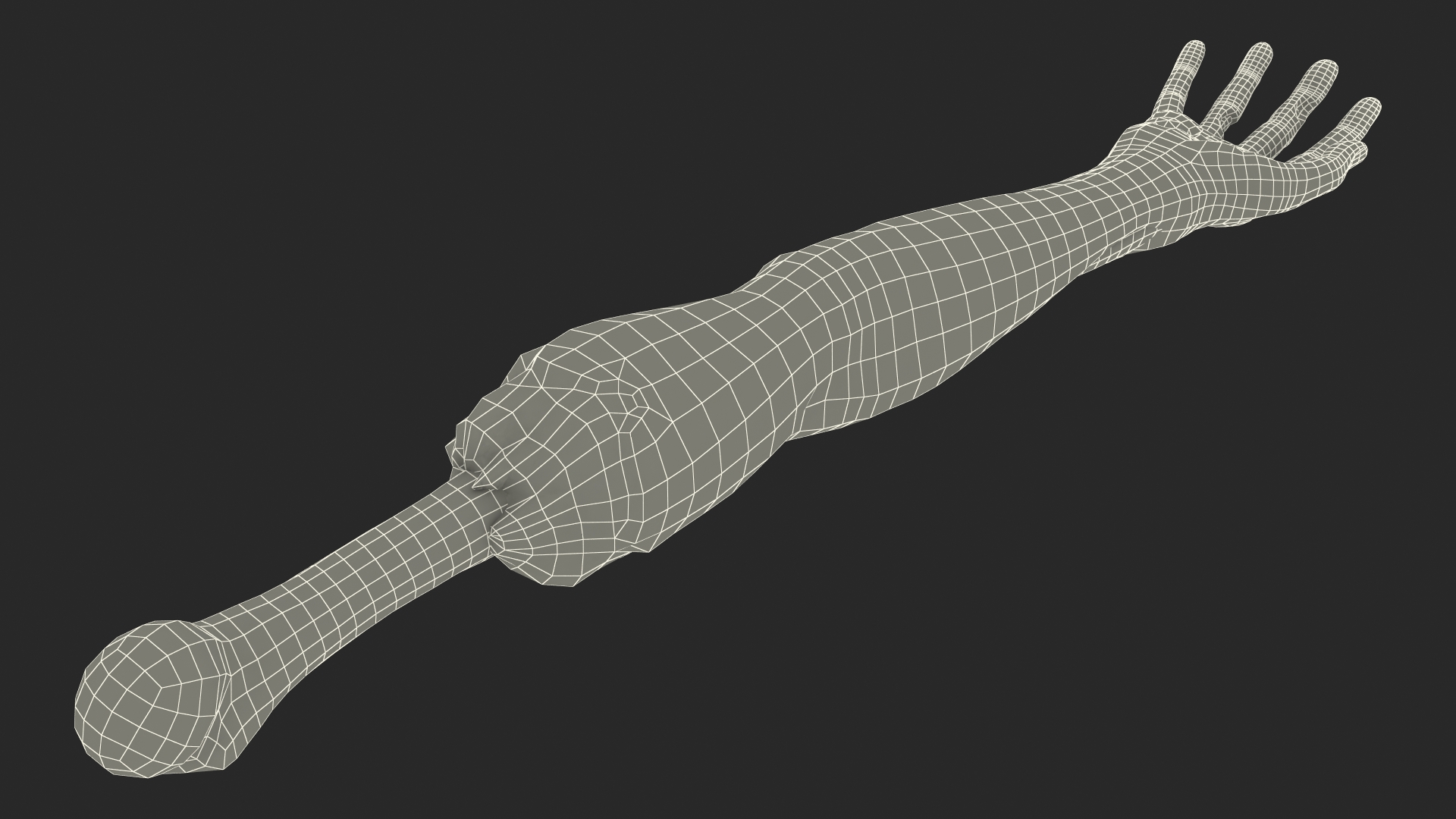 Single Zombie Arm 3D