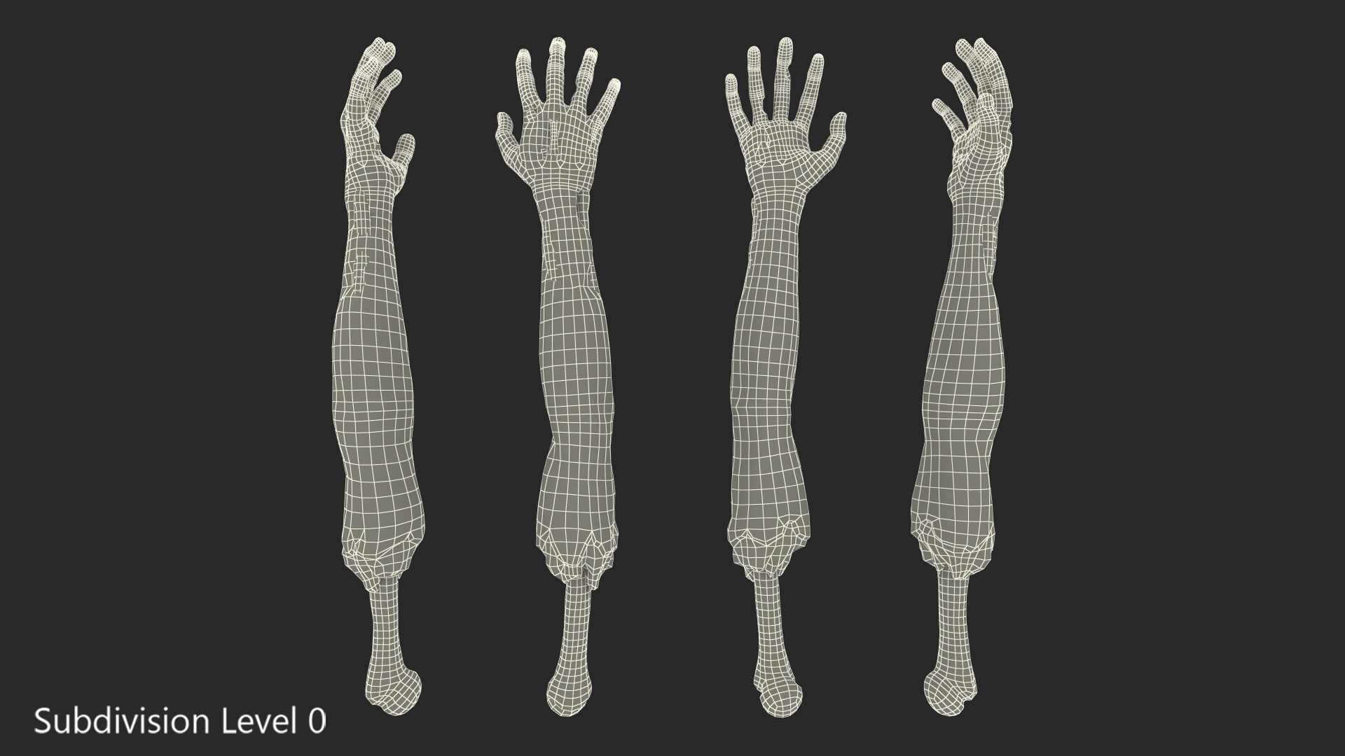 Single Zombie Arm 3D