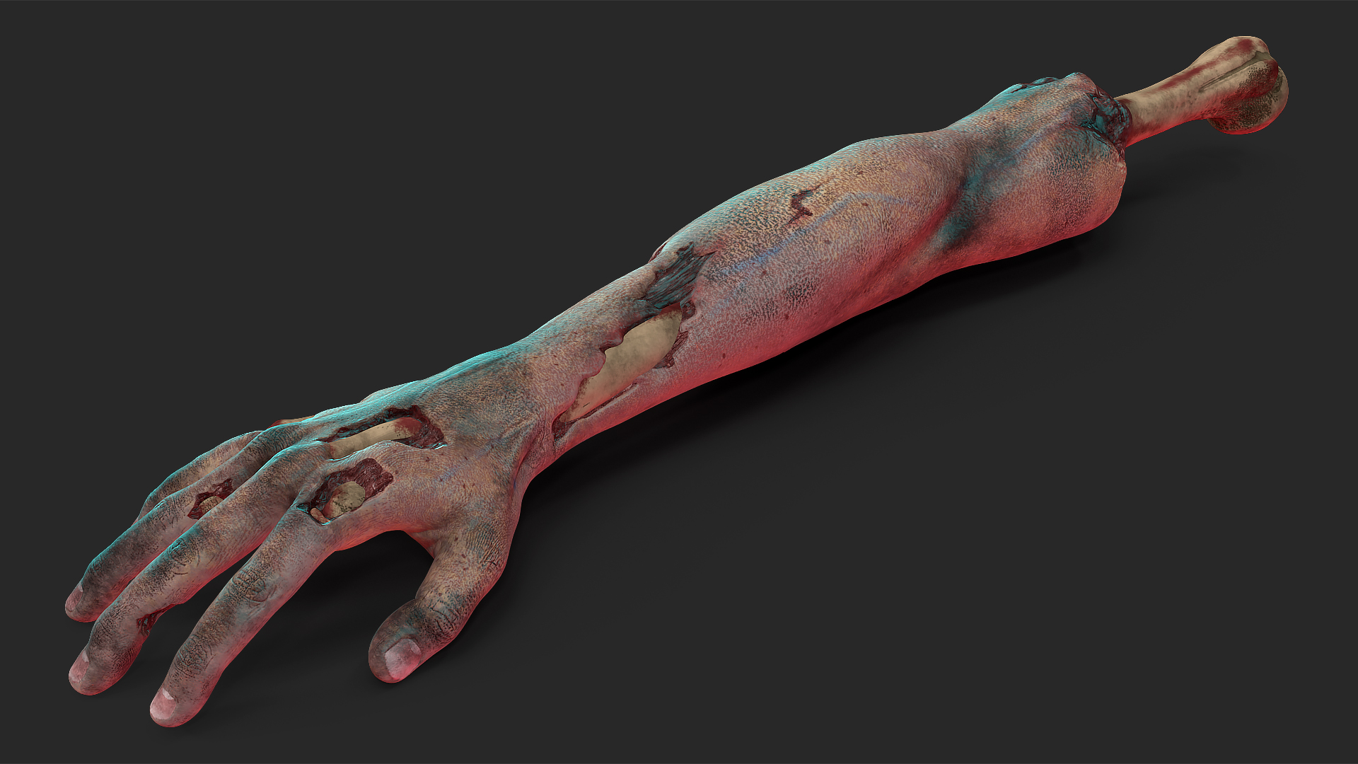 Single Zombie Arm 3D