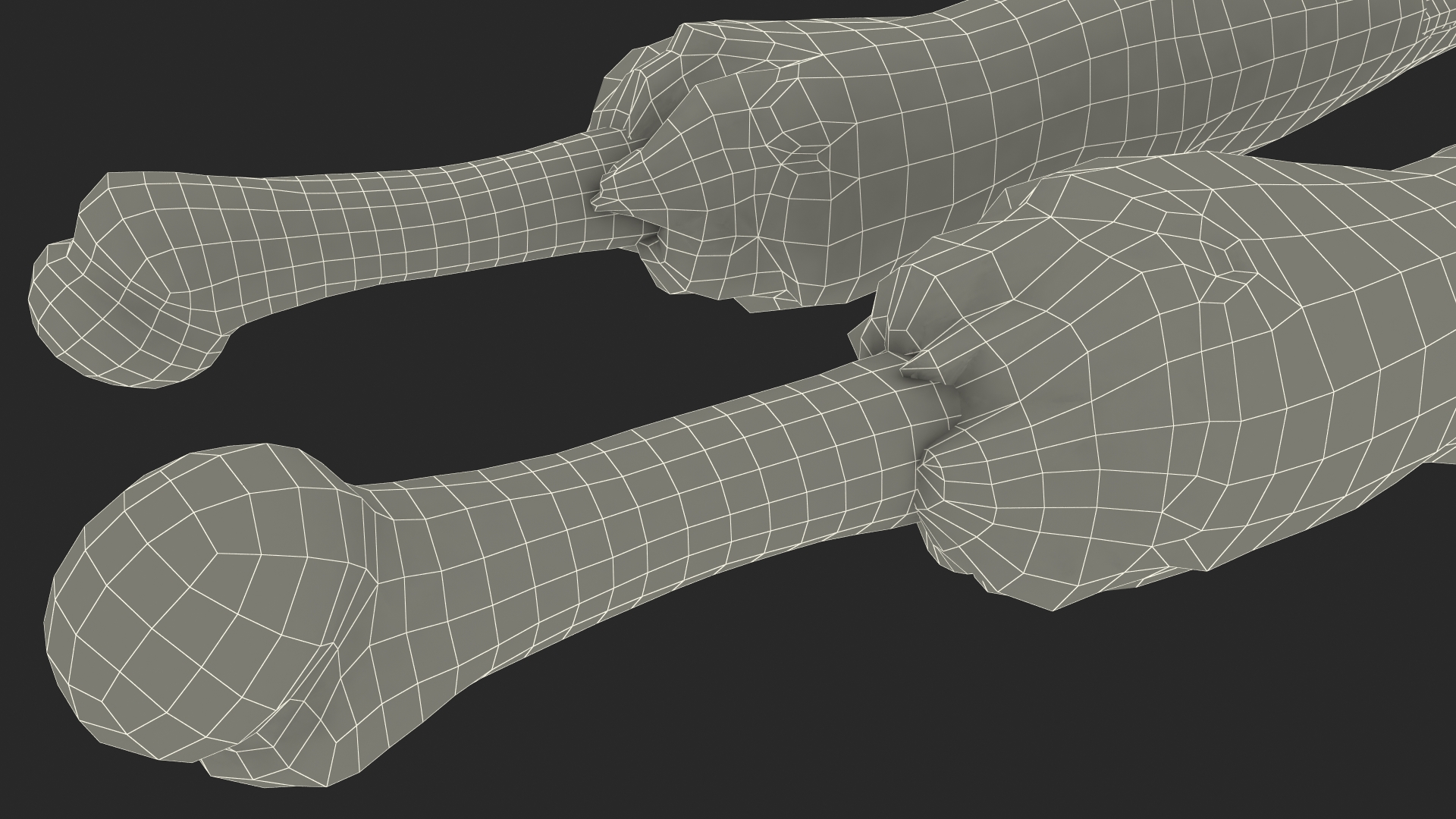 Single Zombie Arm 3D