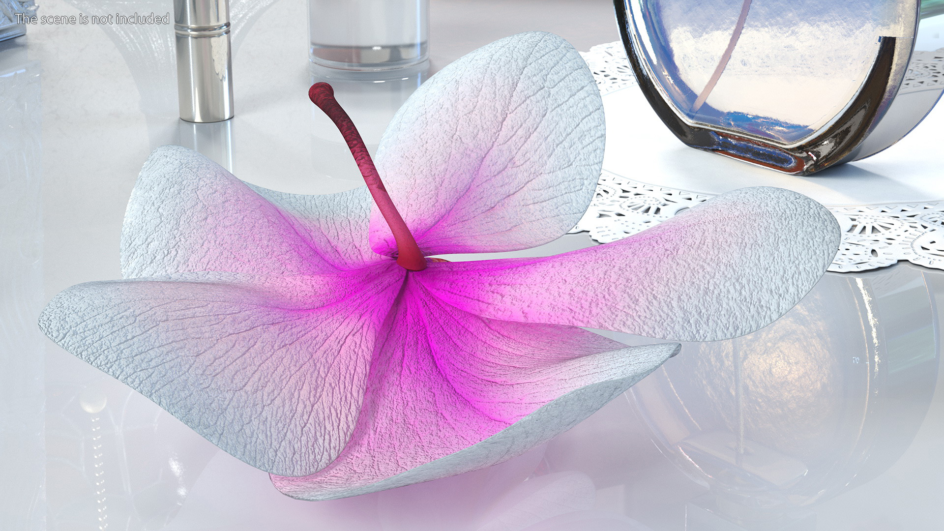 3D Orchid Flower model