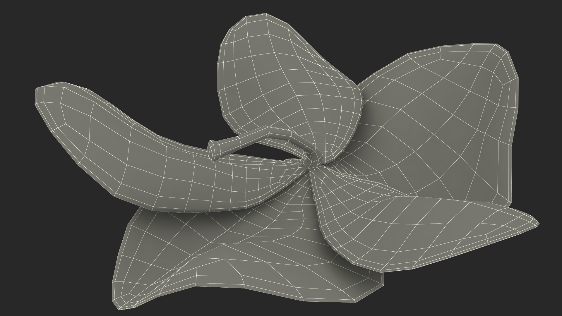 3D Orchid Flower model