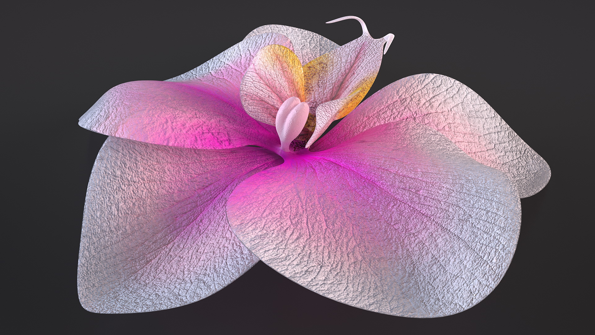 3D Orchid Flower model