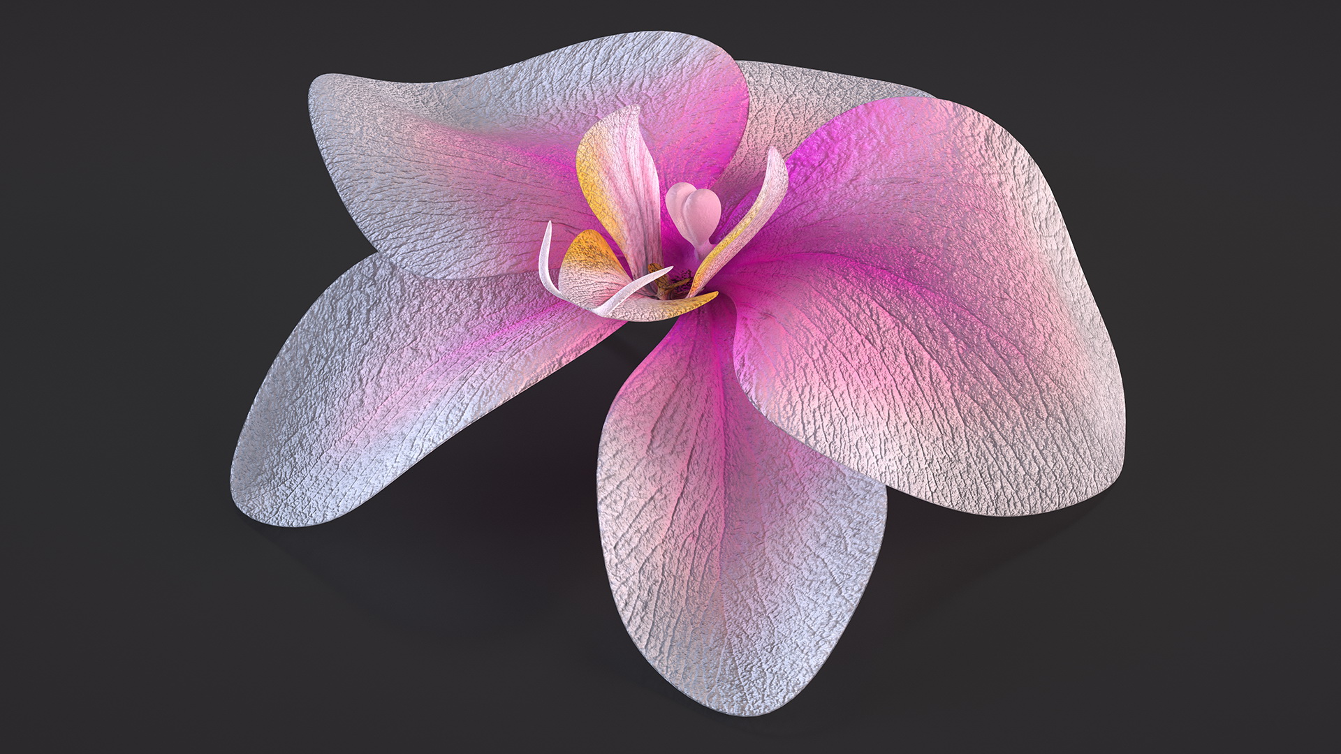 3D Orchid Flower model