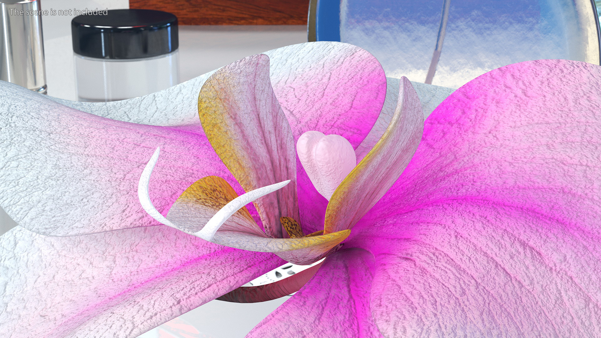 3D Orchid Flower model