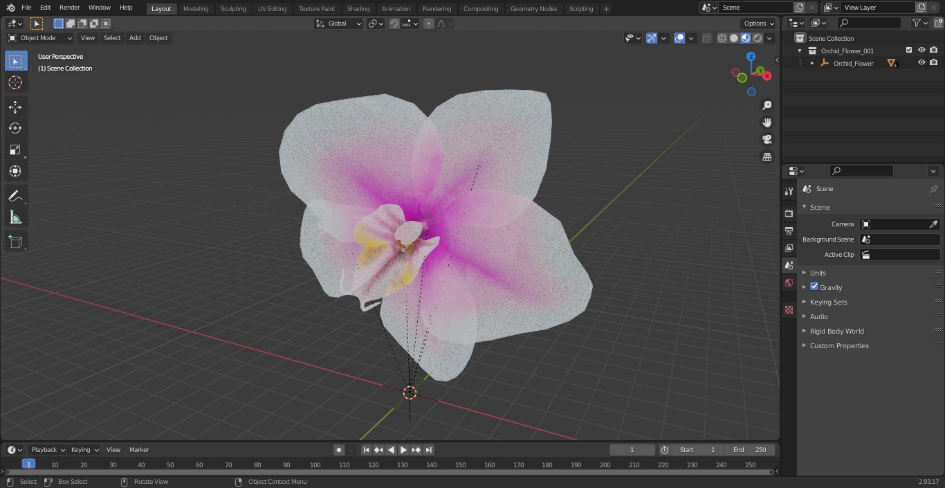 3D Orchid Flower model