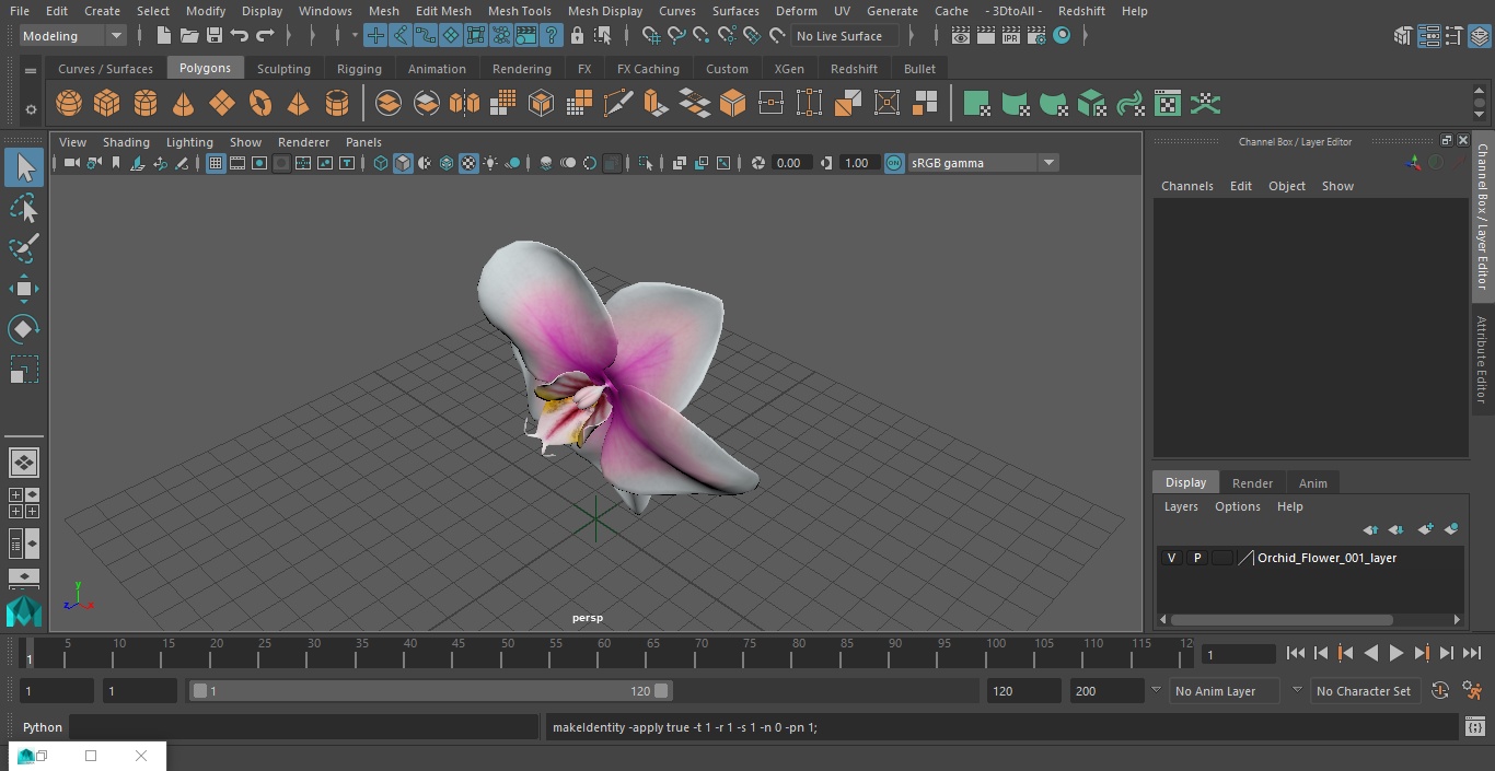3D Orchid Flower model