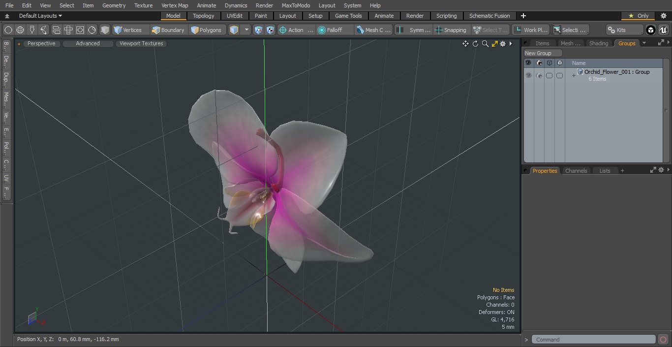 3D Orchid Flower model