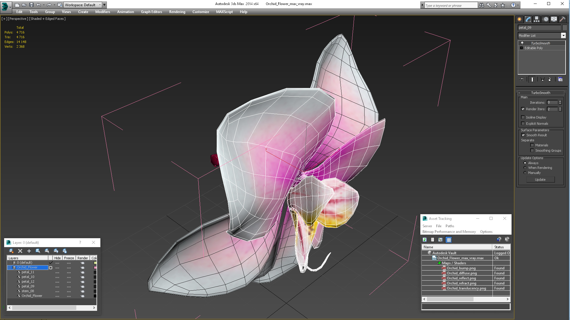 3D Orchid Flower model