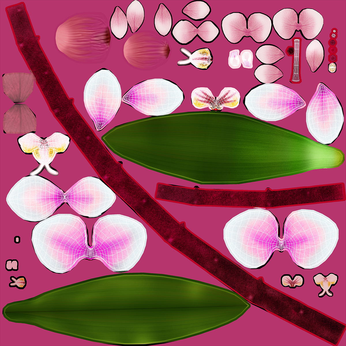 3D Orchid Flower model