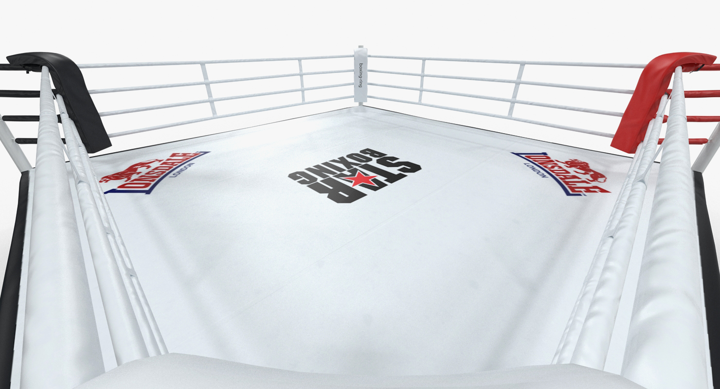 Complete Competition Boxing Ring 3D